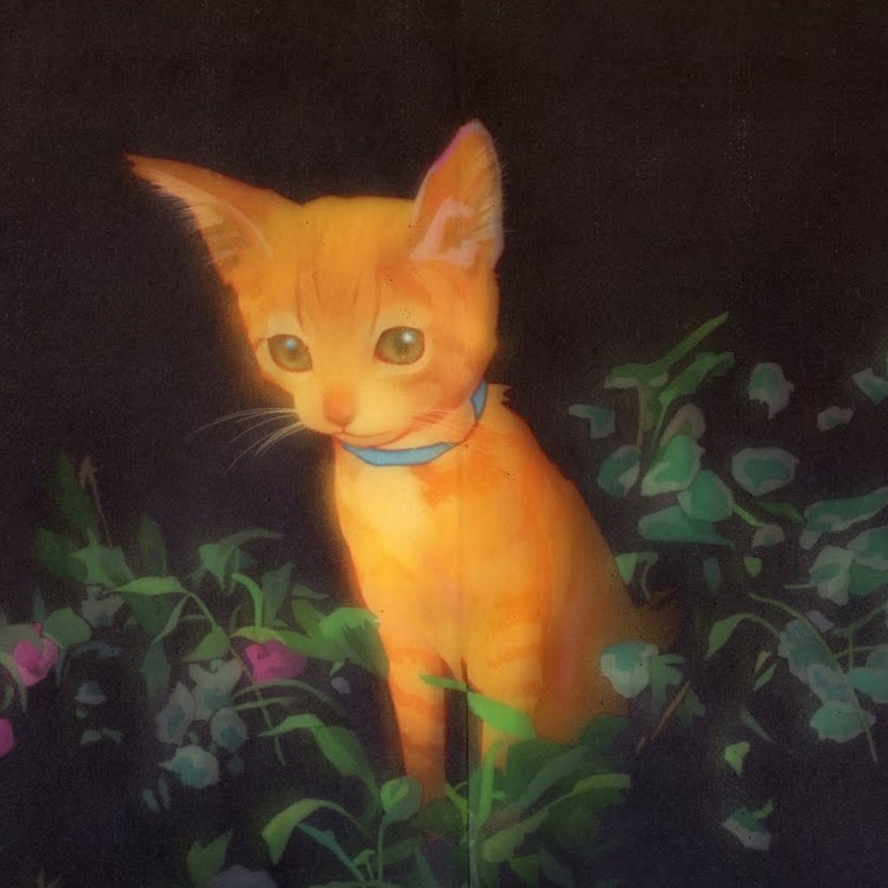 Meet your Posher, Cathi